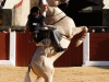 plasencia14_9