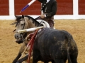 Diego en Plasencia05