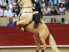 ponte12_12
