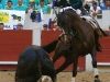 pontevedra13_04