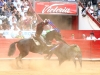mex11_8