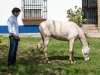 potro13_2