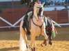 pozo11_6