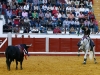 pozoblanco2013_12