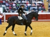 pozoblanco2013_6