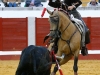 pozoblanco2013_8