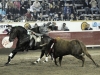 pueblamx11_11
