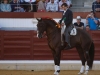 puertollano14_7
