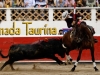 queretaro11_5