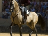 ronda10_2