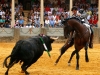 ronda2013_07