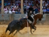 ronda2013_12