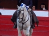 saltillo_4