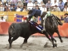 salva11_10