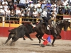 salva11_2