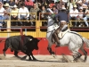 salva11_3