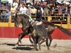 salva11_4