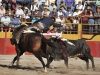salva11_6