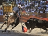 salva11_9