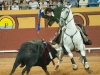 algeciras113