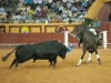 algeciras118