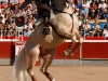 sanpedropin14_01