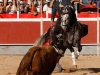 sanpedropin14_03