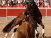 sanpedropin14_04