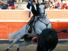 ssreyes13_04