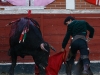 ssreyes13_14