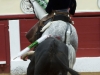 santander10_5