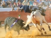 santisteban12_07