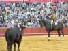 sevilla12_04