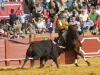 sevilla12_07