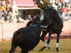 sevilla12_09