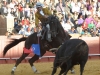 sevilla12_10