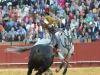 sevilla12_15