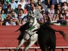 sevilla13_5