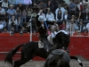 sfco12_3