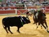 soria12_04