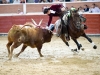 sanse11_5