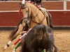ssreyes2012_08