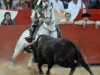 tequis_10