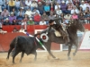tequis_11