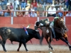 tequis_7