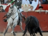tequis_9