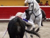 teziu_5