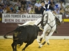 murcia10_11