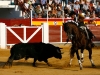 tomelloso13_04