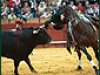 sevillamat12min14